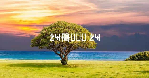 żҸ鳵ҵ۸ϸ żҸ